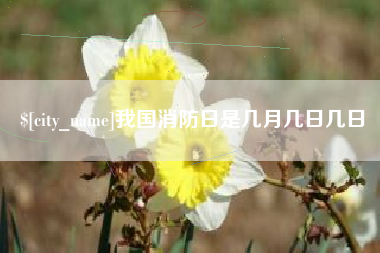 阿坝我国消防日是几月几日几日