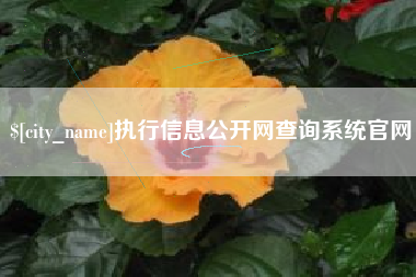 阿坝执行信息公开网查询系统官网