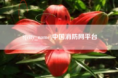 阿坝中国消防网平台