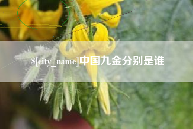 阿坝中国九金分别是谁