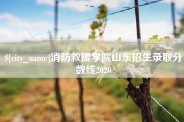 阿坝消防救援学院山东招生录取分数线2020