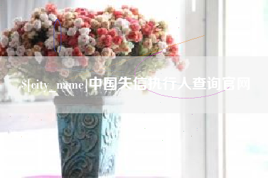 阿坝中国失信执行人查询官网