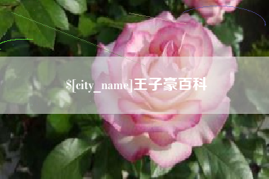 阿坝王子豪百科