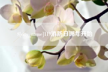 阿坝119消防日哪年开始
