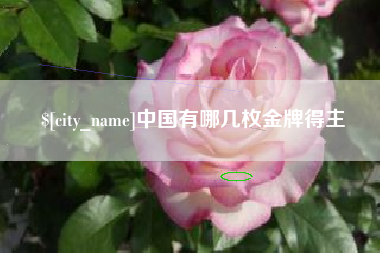 阿坝中国有哪几枚金牌得主