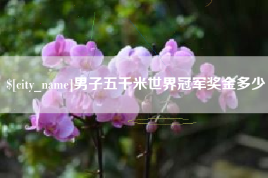阿坝男子五千米世界冠军奖金多少