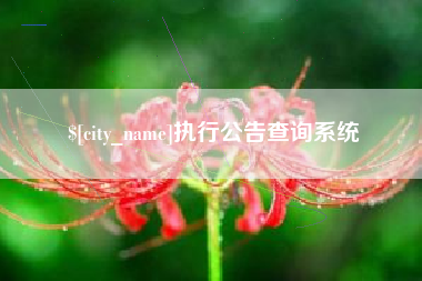 阿坝执行公告查询系统