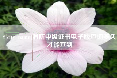 阿坝消防中级证书电子版查询多久才能查到