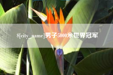 阿坝男子5000米世界冠军