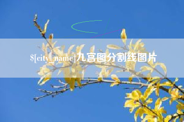 阿坝九宫图分割线图片
