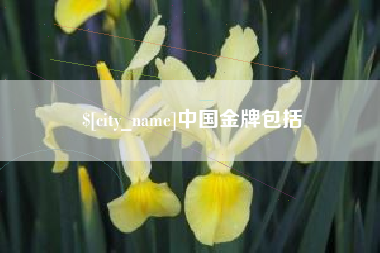 阿坝中国金牌包括
