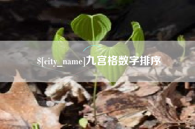 阿坝九宫格数字排序