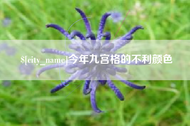 阿坝今年九宫格的不利颜色