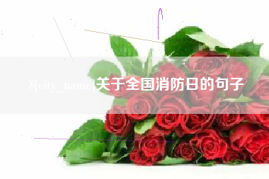 阿坝关于全国消防日的句子
