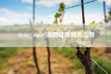 阿坝消防证查询怎么查