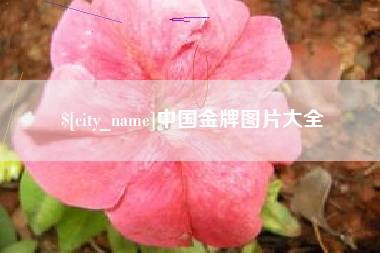 阿坝中国金牌图片大全