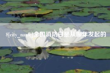 阿坝全国消防日是从哪年发起的