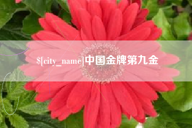 阿坝中国金牌第九金