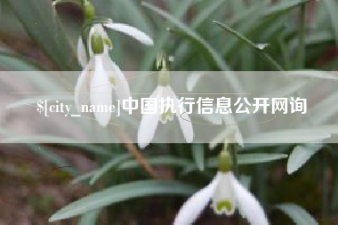 阿坝中国执行信息公开网询