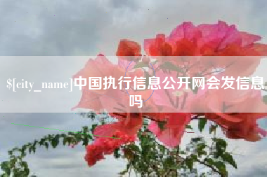 阿坝中国执行信息公开网会发信息吗