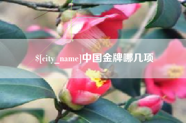 阿坝中国金牌哪几项