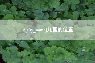 阿坝九宫的位置