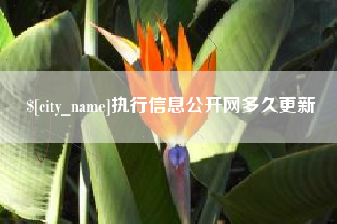 阿坝执行信息公开网多久更新