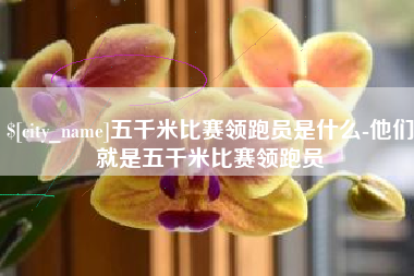 阿坝五千米比赛领跑员是什么-他们就是五千米比赛领跑员
