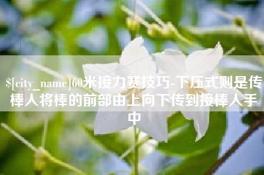 阿坝60米接力赛技巧-下压式则是传棒人将棒的前部由上向下传到接棒人手中