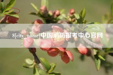 阿坝中国消防报考中心官网