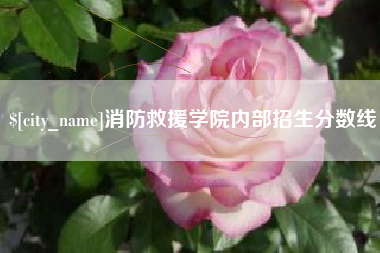 阿坝消防救援学院内部招生分数线