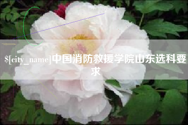 阿坝中国消防救援学院山东选科要求