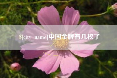 阿坝中国金牌有几枚了