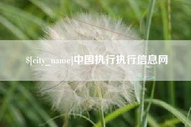 阿坝中国执行执行信息网