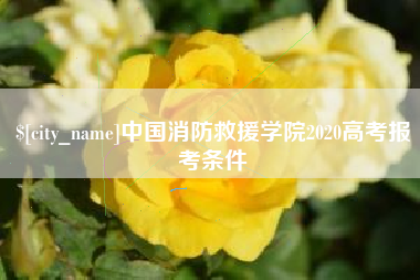 阿坝中国消防救援学院2020高考报考条件