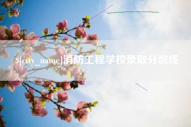 阿坝消防工程学校录取分数线