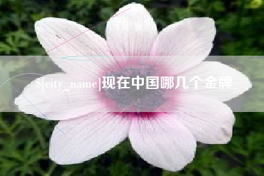 阿坝现在中国哪几个金牌