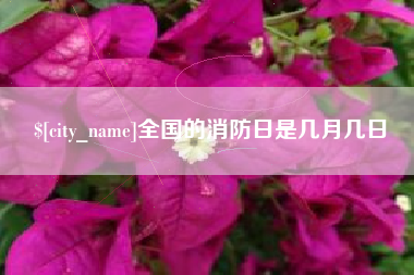 阿坝全国的消防日是几月几日