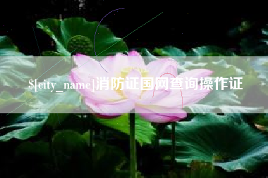阿坝消防证国网查询操作证
