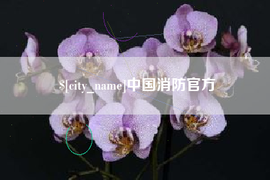 阿坝中国消防官方