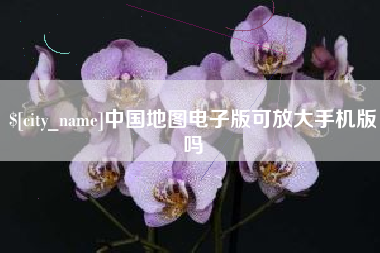 阿坝中国地图电子版可放大手机版吗