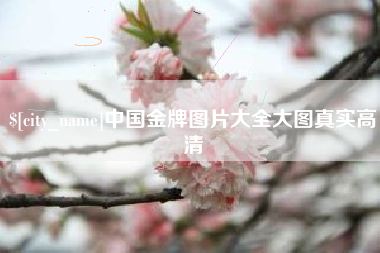 阿坝中国金牌图片大全大图真实高清