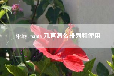 阿坝九宫怎么排列和使用