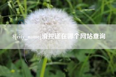 阿坝消控证在哪个网站查询