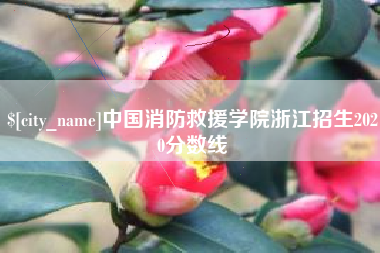 阿坝中国消防救援学院浙江招生2020分数线