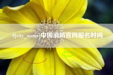 阿坝中国消防官网报名时间