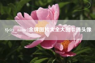 阿坝金牌图片大全大图卡通头像
