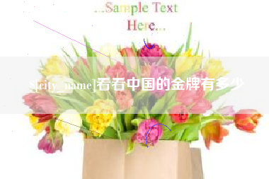 阿坝看看中国的金牌有多少
